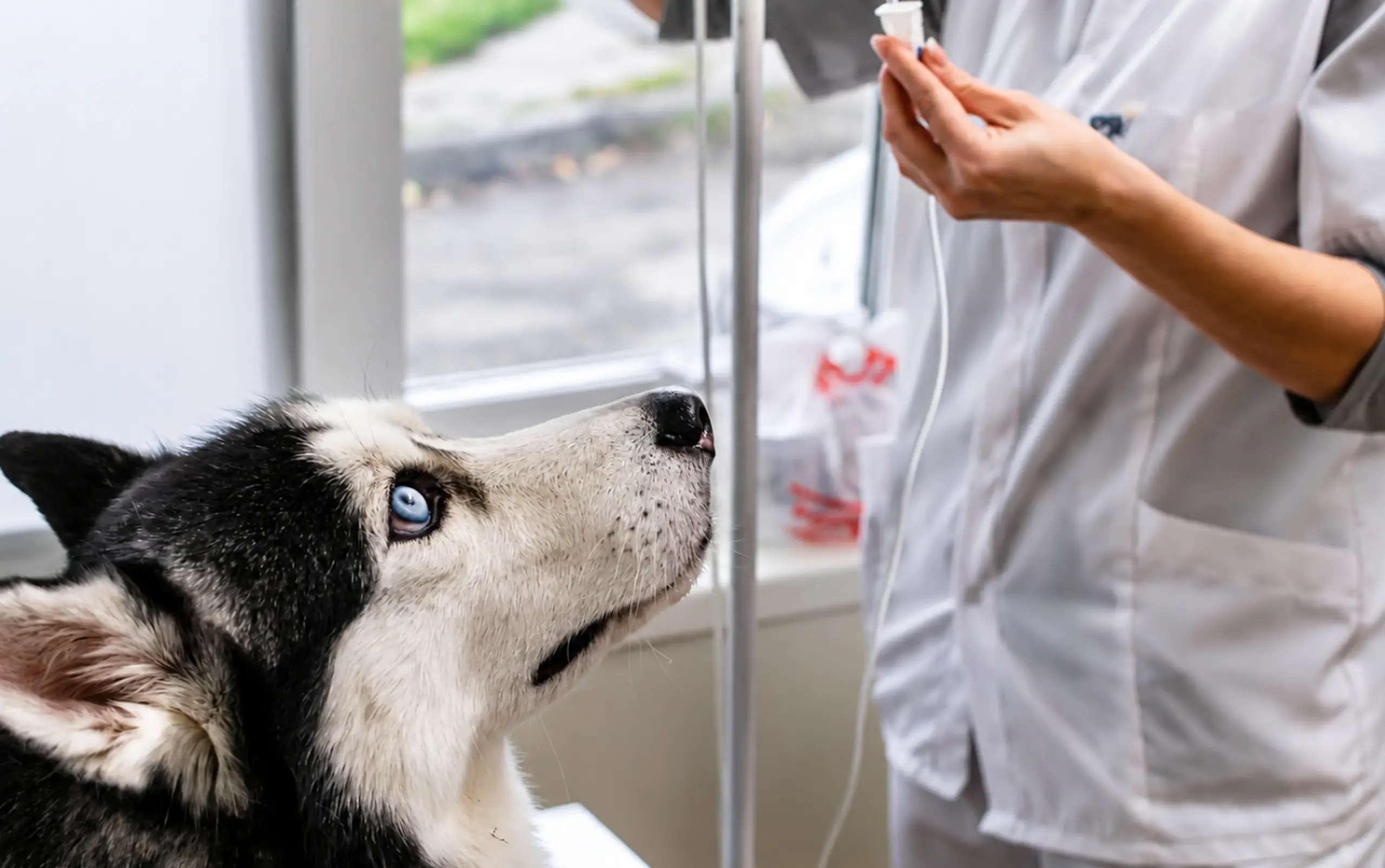 Emergency & Urgent Care Services