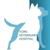 York Veterinary Hospital