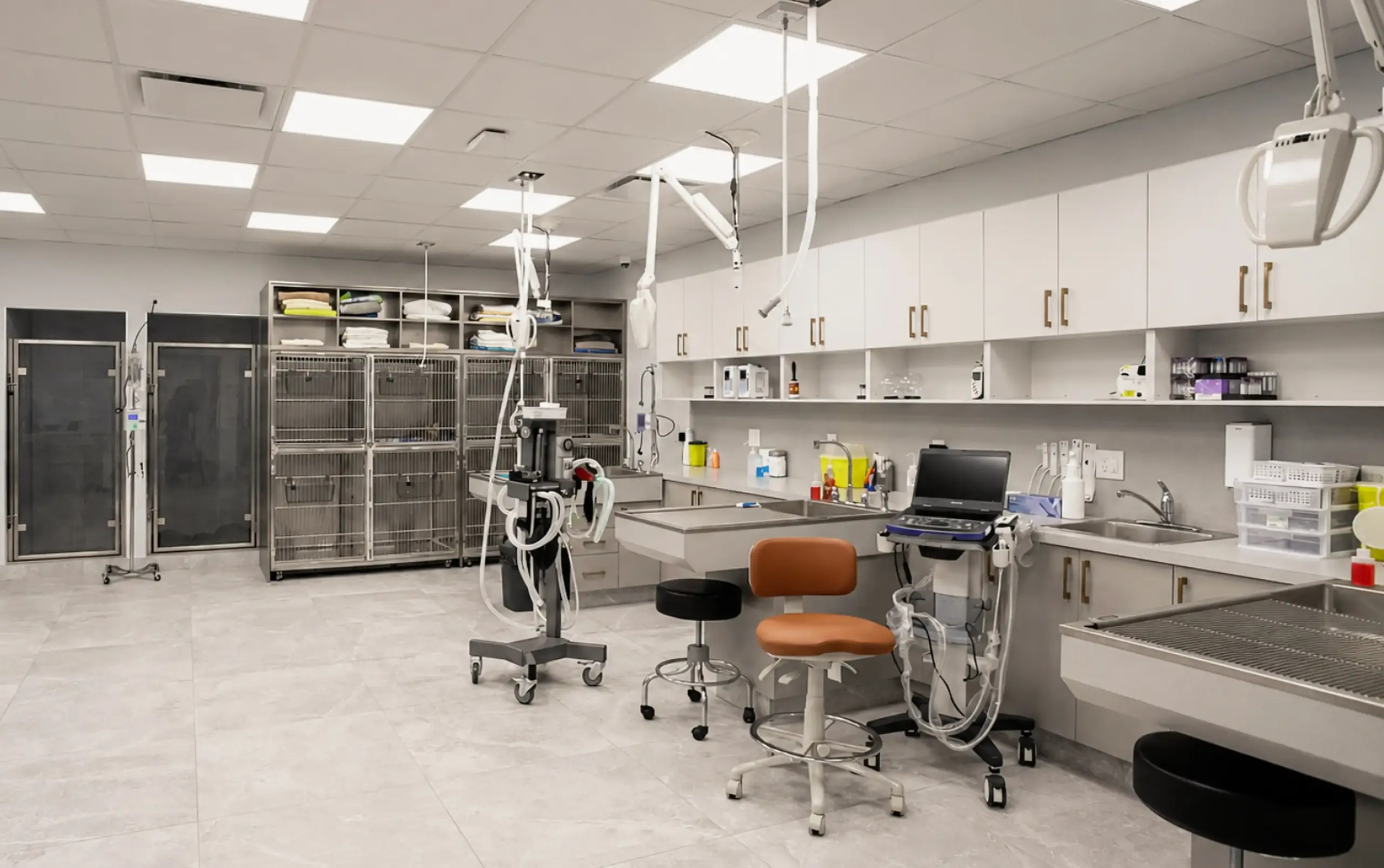 York Veterinary Hospital Why Choose York Veterinary Hospital for Pet Diagnostics & Imaging