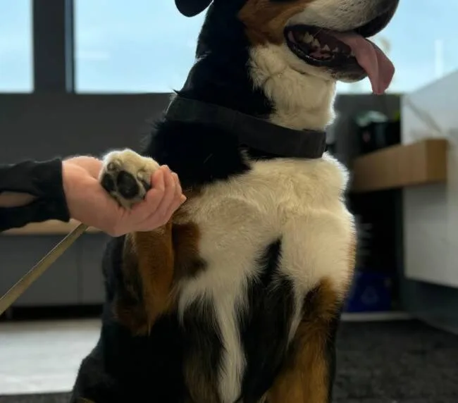 467851535_1287754972667884_8784231408656801222_n