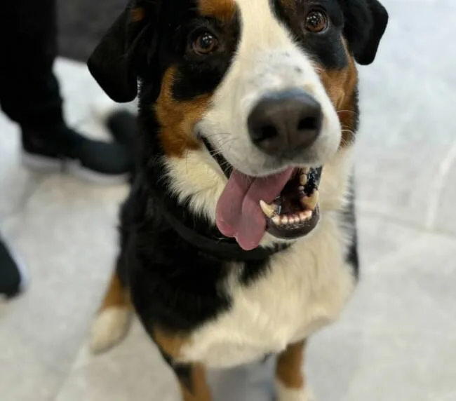 467933999_1124143039309017_4855282524733034735_n