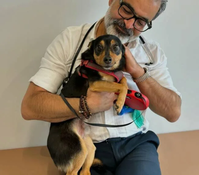 468146288_3933772126879126_5841046157810815909_n