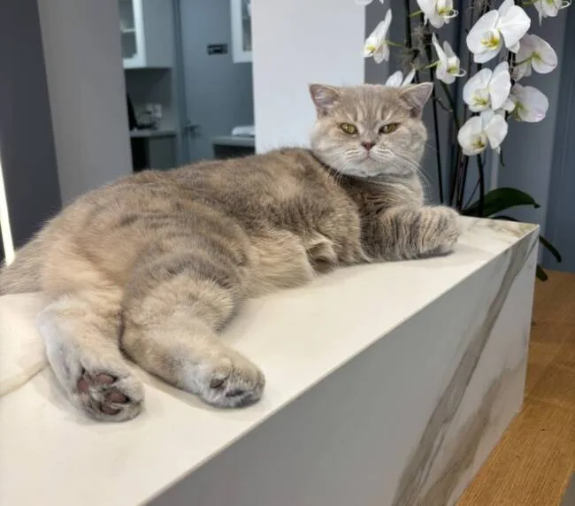 476877598_122215105016061368_8537409893160383378_n