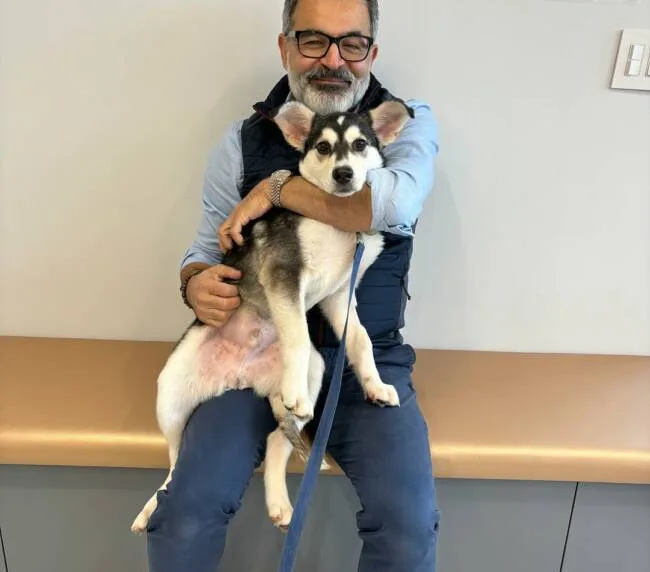 482074808_122218708118061368_8759660860411671267_n (1)