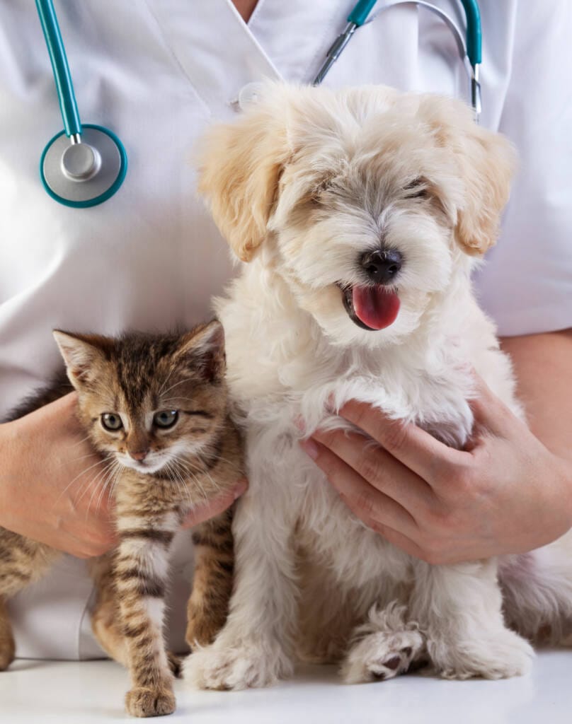 New-Patient-Care-1