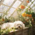 Toxic plant's for pets Toxic plant's for pets