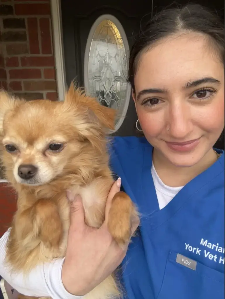 mariana-img Woman in blue veterinary scrubs smiling while holding a small fluffy tan dog outside a brick house.