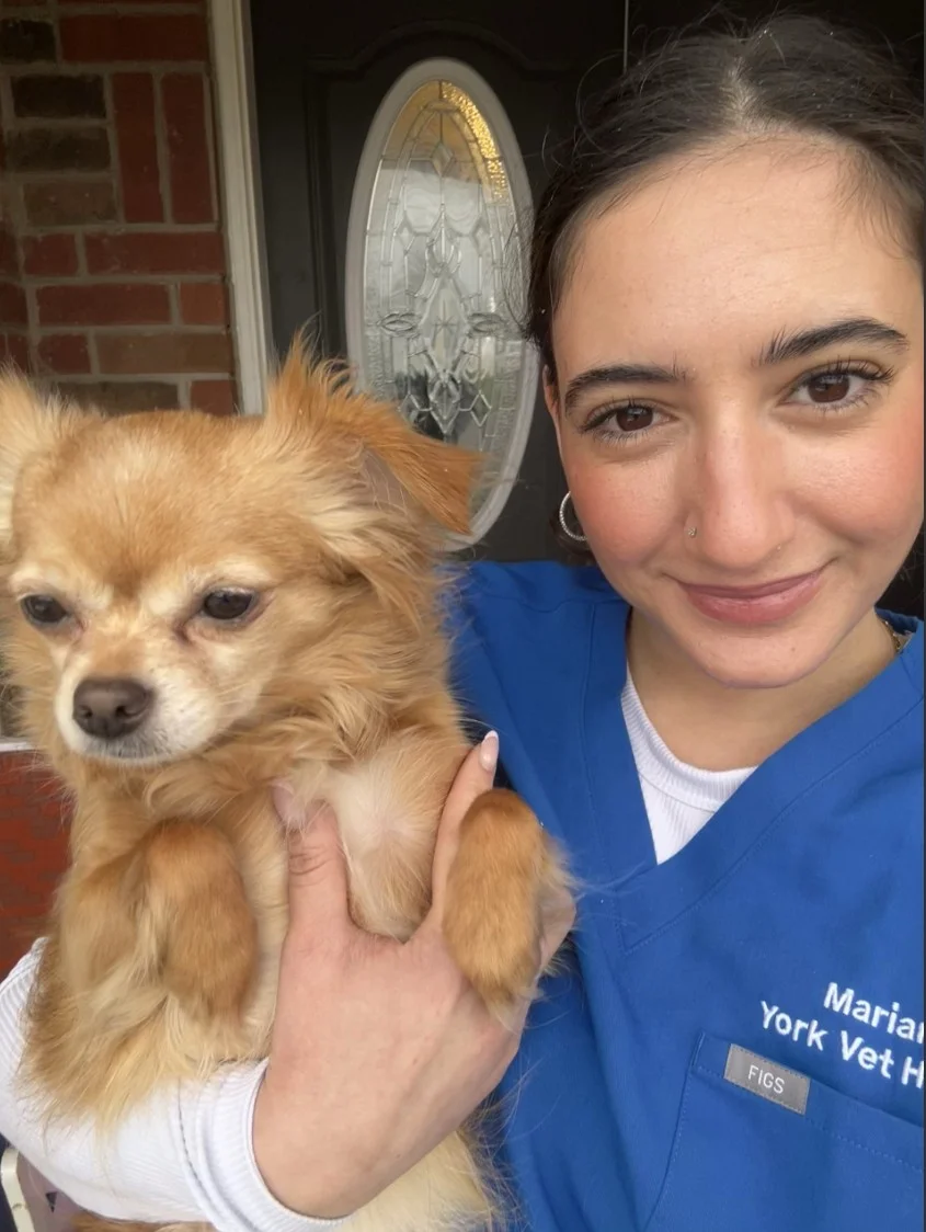 Woman in blue veterinary scrubs smiling while holding a small fluffy tan dog outside a brick house.