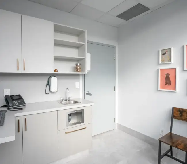 Modern veterinary exam room with grey cabinets, a sink, computer on the counter, and pet-themed wall art beside a wooden chair.