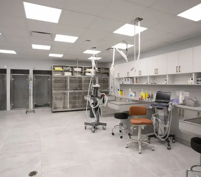 Sterile veterinary operating room with anesthesia machine, metal cages, and white cabinets and countertops.