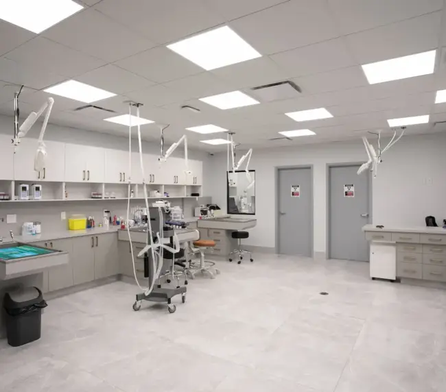 Bright, modern dental clinic with multiple treatment chairs, overhead armatures, and white cabinetry along the walls.