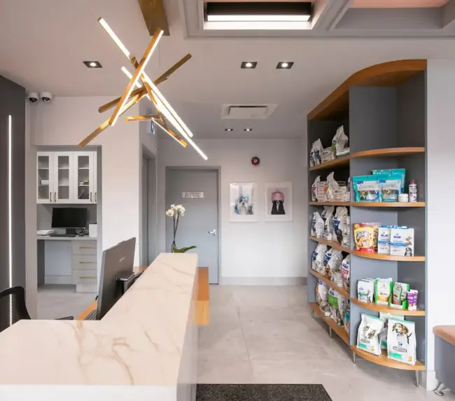 Reception area of a veterinary clinic with a marble counter, computer, and curved shelves stocked with pet food and supplies.