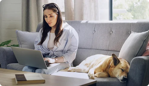 connect connect Woman sits on a gray sofa using a laptop, with a sleepy dog resting beside her on the couch.