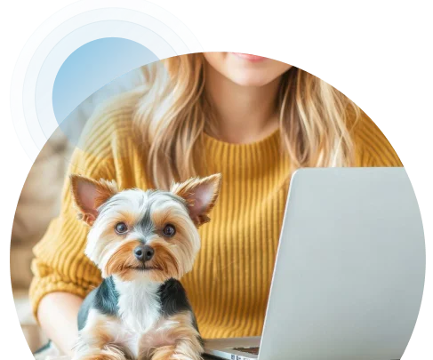 ready-to-chat ready-to-chat Person in a mustard-yellow sweater typing on a laptop with a small dog on their lap.