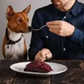 Raw-Diet-for-Dogs-0 Dog being fed raw steak as part of a raw diet for dogs, with fresh meat served on a wooden table.