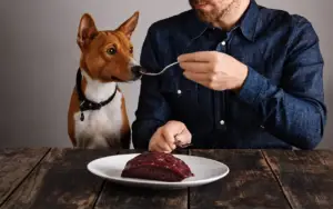 Raw-Diet-for-Dogs-0 Dog being fed raw steak as part of a raw diet for dogs, with fresh meat served on a wooden table.