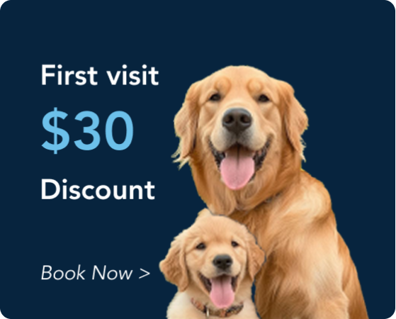 offer4 York Veterinary Hospital York Veterinary Hospital offer4 offer4 Promotional banner with two golden retrievers and text: 'First visit Discount' and 'Book Now' CTA on a dark blue background.
