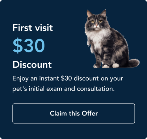 promotion1 promotion1 Promotional card with a cat on the right, announcing a  first-visit discount and a 'Claim this Offer' button on a navy background.