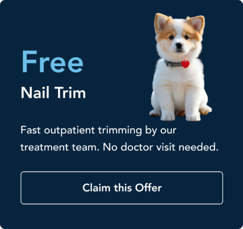 promotion2 promotion2 Corgi puppy on a navy banner with a large 'Free Nail Trim' headline on the left and promo text below.