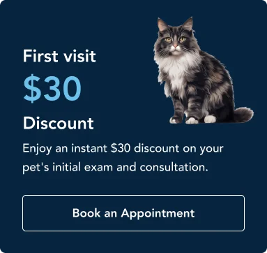 p1 p1 Promotional banner with a cat beside text: 'First visit  Discount' and a 'Book an Appointment' button, inviting scheduling of a pet's initial exam/consultation.