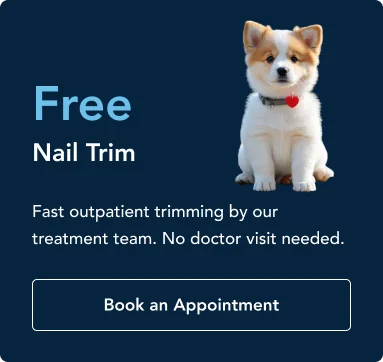 p3 p3 Dark blue ad with a puppy; promotes free nail trim and a 'Book an Appointment' button; no doctor visit needed.