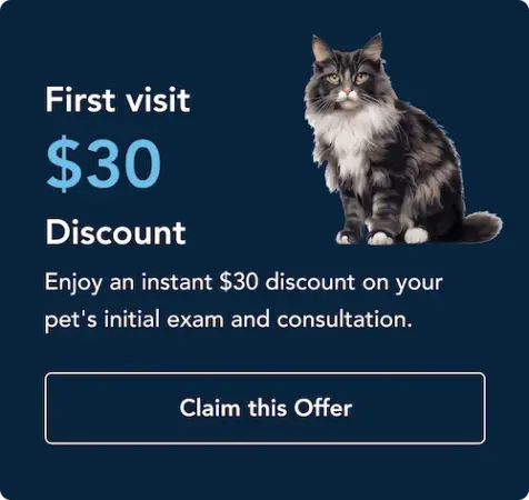 promotion1-1 York Veterinary Hospital York Veterinary Hospital promotion1-1 promotion1-1 Promotional banner on dark blue background with a fluffy cat on the right; text reads 'First visit Discount' and 'Enjoy an instant discount on your pet's initial exam and consultation.' A 'Claim this Offer' button is shown below.