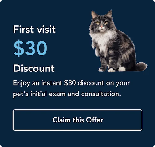 promotion1-1 York Veterinary Hospital promotion1-1 Promotional banner on dark blue background with a fluffy cat on the right; text reads 'First visit $30 Discount' and 'Enjoy an instant $30 discount on your pet's initial exam and consultation.' A 'Claim this Offer' button is shown below.