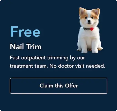 promotion2 York Veterinary Hospital York Veterinary Hospital promotion2 promotion2 Free dog nail trim promo with a cute puppy and a 'Claim this Offer' button on a dark blue background
