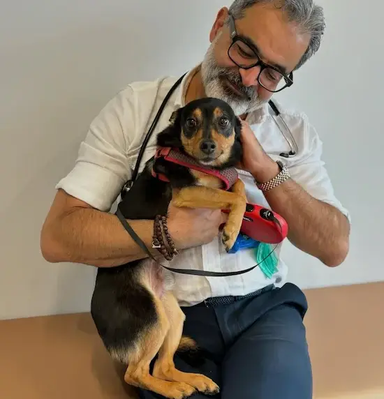 Veterinary doctor holding a small black-and-tan dog on his lap, both looking content in a clinic setting.